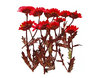 Mini Chrisamthemum with stem - rojo 