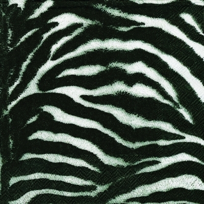 Zebra black