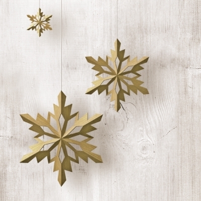 Snowflakes on wood SDL-082300