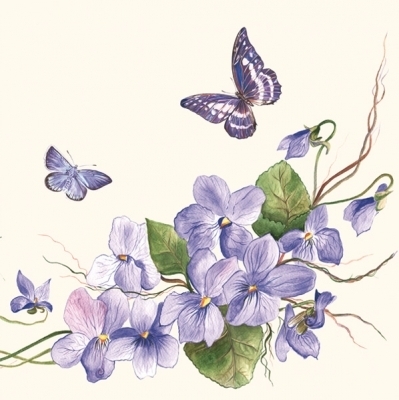 Flores y mariposas SDOG-007401