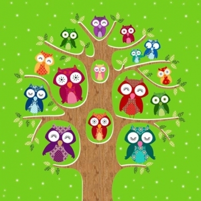 Owl family tree olive