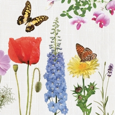 Flores y Mariposas